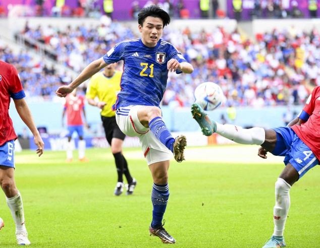 球迷和教练 球迷和教练